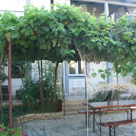 Amfora On The Ground Floor Apartment Fazana
